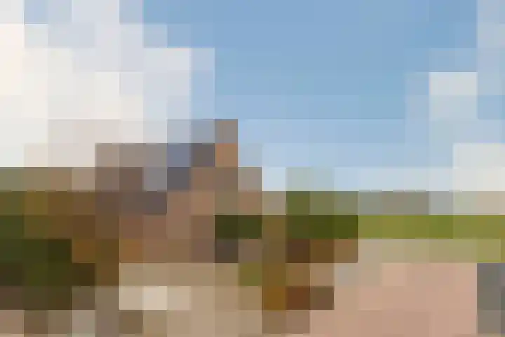 Spinrok 2 Zoelen thumbnail 7