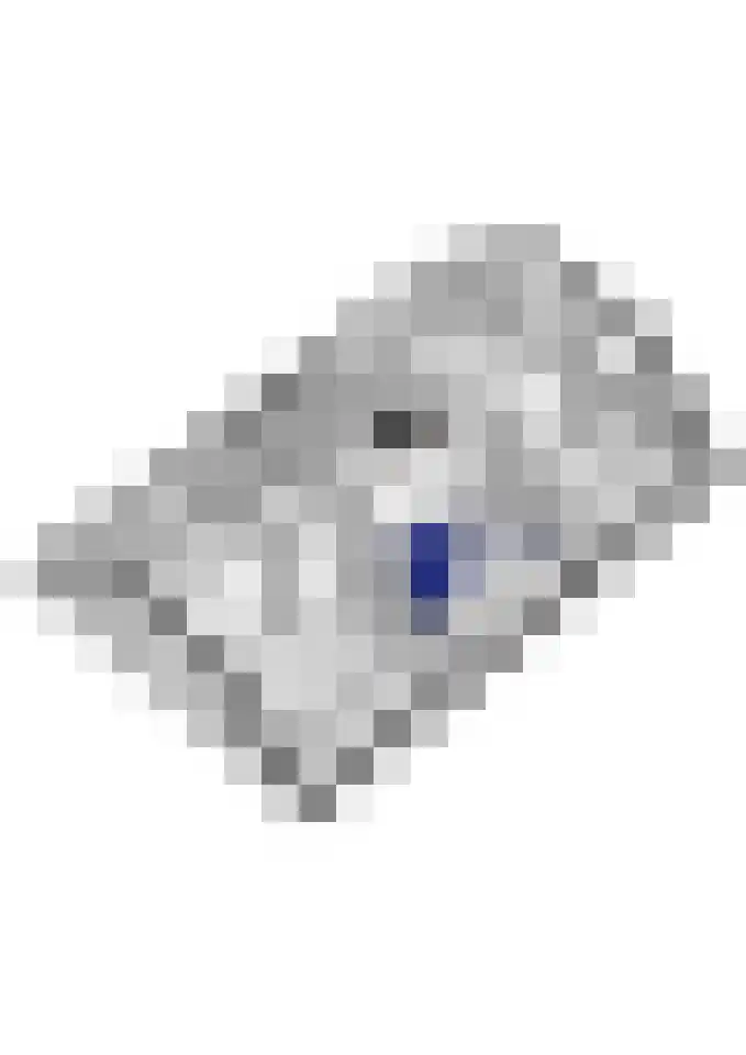 Spinrok 2 Zoelen thumbnail 71