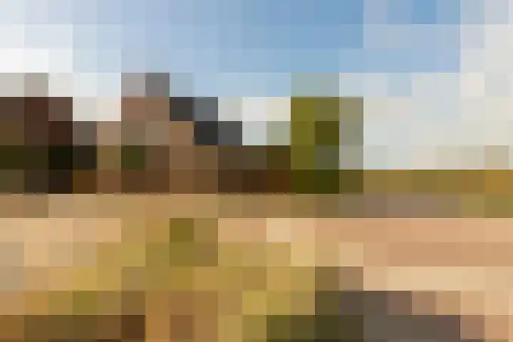 Spinrok 2 Zoelen thumbnail 8