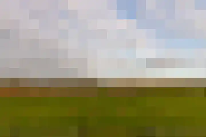 Spinrok 2 Zoelen thumbnail 9