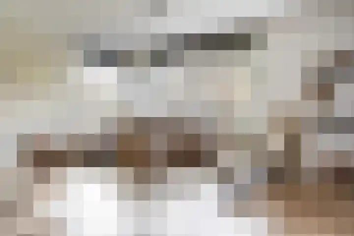 Spinwiefien 24 Zuidwolde thumbnail 10