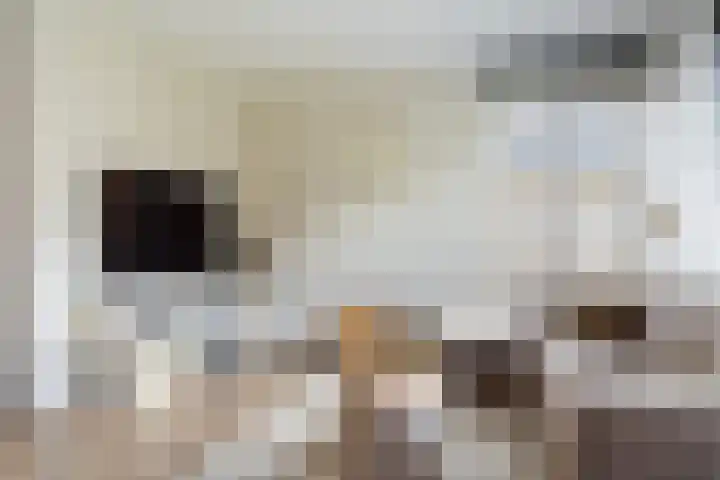 Spinwiefien 24 Zuidwolde thumbnail 11