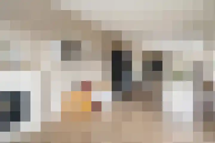 Spinwiefien 24 Zuidwolde thumbnail 14