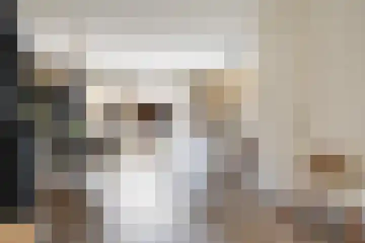 Spinwiefien 24 Zuidwolde thumbnail 15