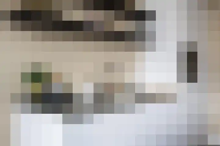 Spinwiefien 24 Zuidwolde thumbnail 19