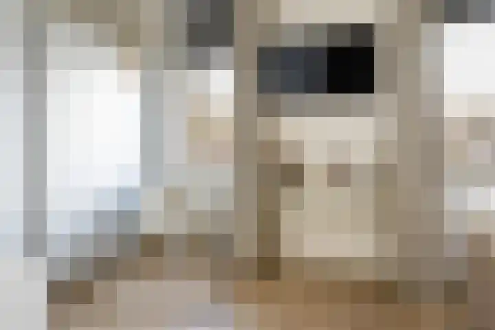 Spinwiefien 24 Zuidwolde thumbnail 29