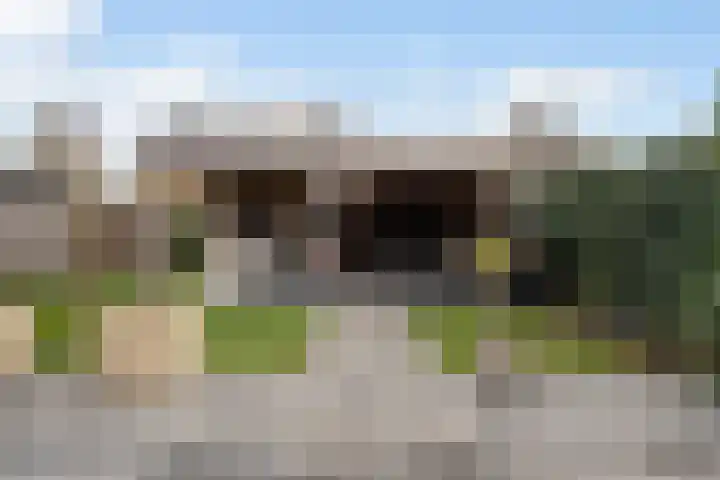 Spinwiefien 24 Zuidwolde thumbnail 34