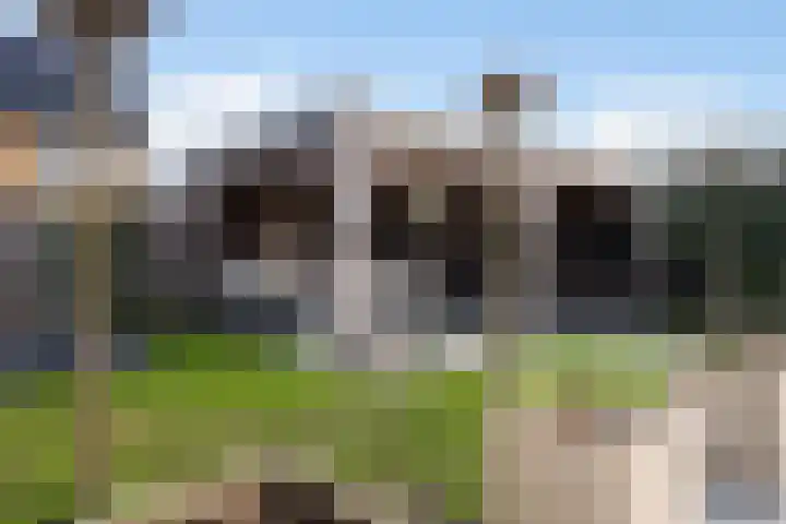 Spinwiefien 24 Zuidwolde thumbnail 35