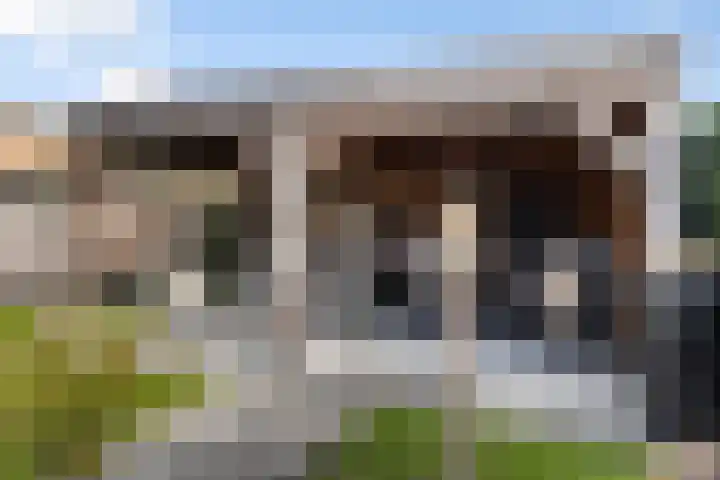 Spinwiefien 24 Zuidwolde thumbnail 36