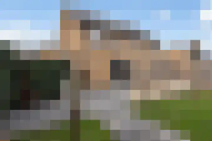 Spinwiefien 24 Zuidwolde thumbnail 38