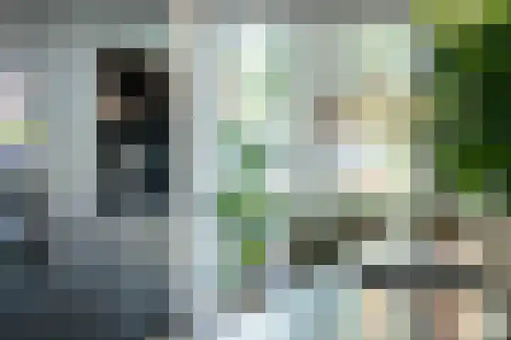 Spion 4 Gorinchem thumbnail 12