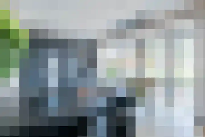 Spion 4 Gorinchem thumbnail 13