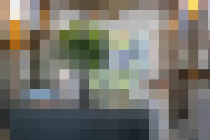Spion 4 Gorinchem thumbnail 15