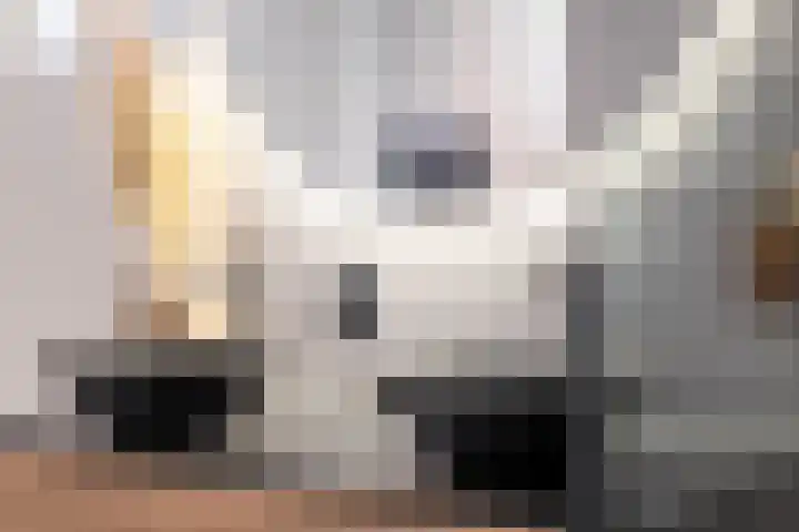 Spion 4 Gorinchem thumbnail 25