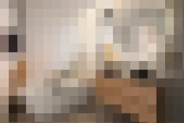 Spion 4 Gorinchem thumbnail 26