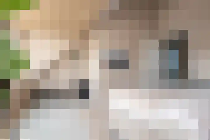 Spion 4 Gorinchem thumbnail 30