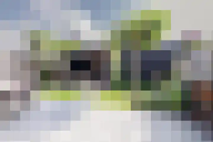 Spion 4 Gorinchem thumbnail 31