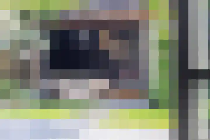 Spion 4 Gorinchem thumbnail 32