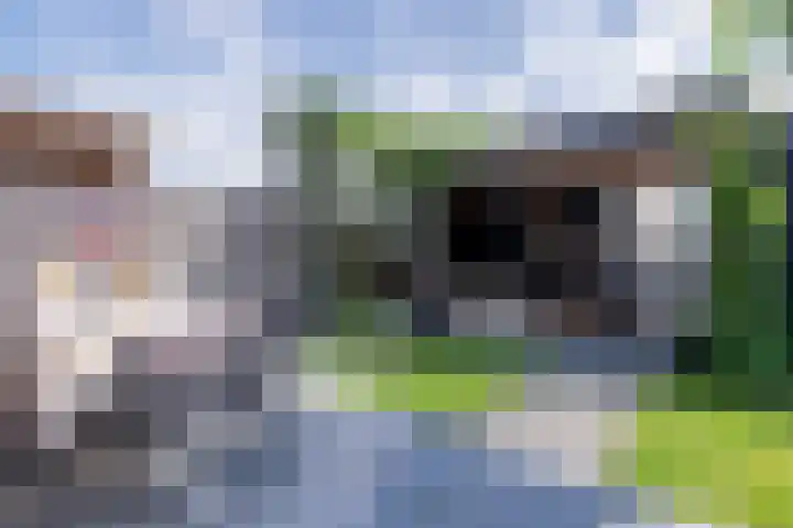 Spion 4 Gorinchem thumbnail 34