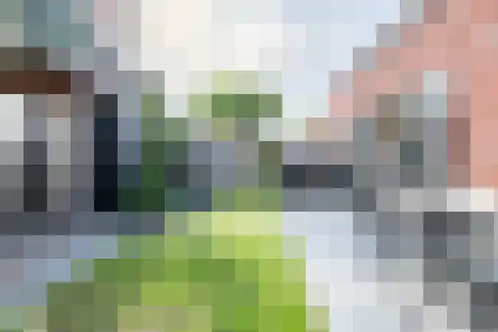 Spion 4 Gorinchem thumbnail 35