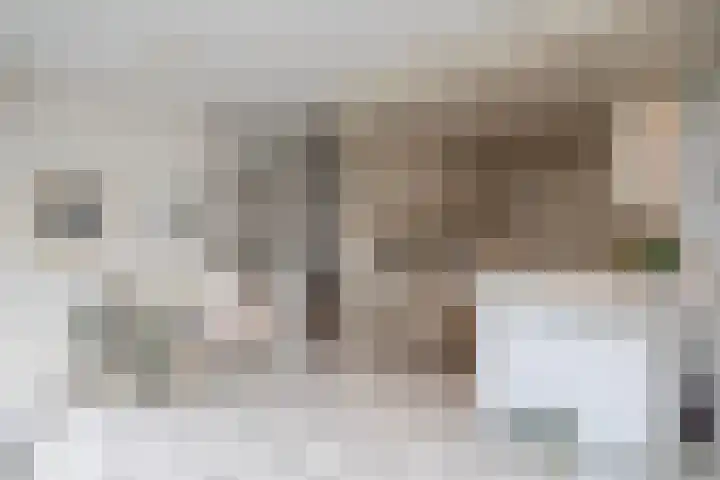 Spion 4 Gorinchem thumbnail 5