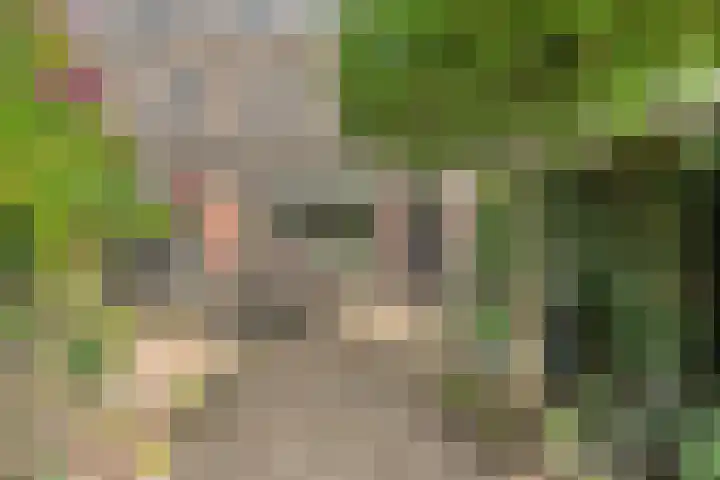 Spiraeastraat 32 Ederveen thumbnail 24