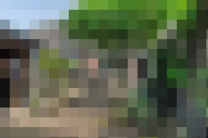 Spiraeastraat 32 Ederveen thumbnail 25
