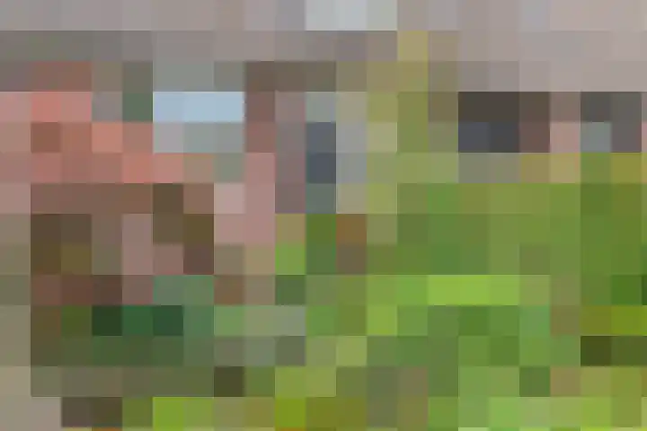 Spiraeastraat 32 Ederveen thumbnail 27
