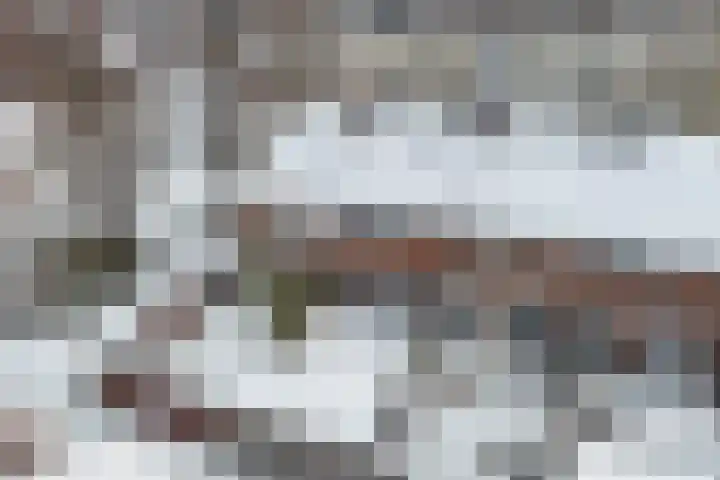 Spireadreef 3 Bleiswijk thumbnail 15