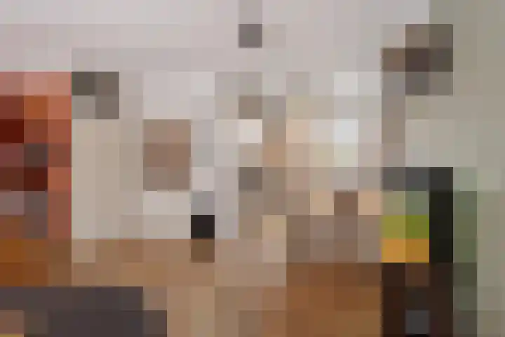 Spireadreef 3 Bleiswijk thumbnail 18