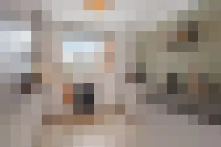 Spireadreef 3 Bleiswijk thumbnail 21