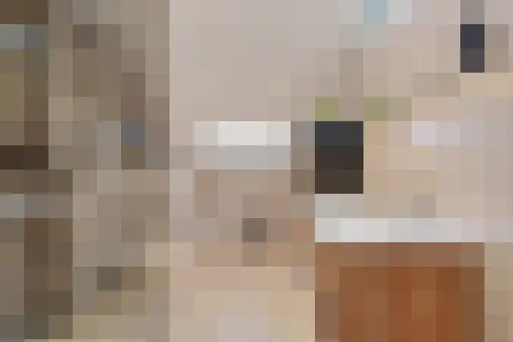 Spireadreef 3 Bleiswijk thumbnail 30
