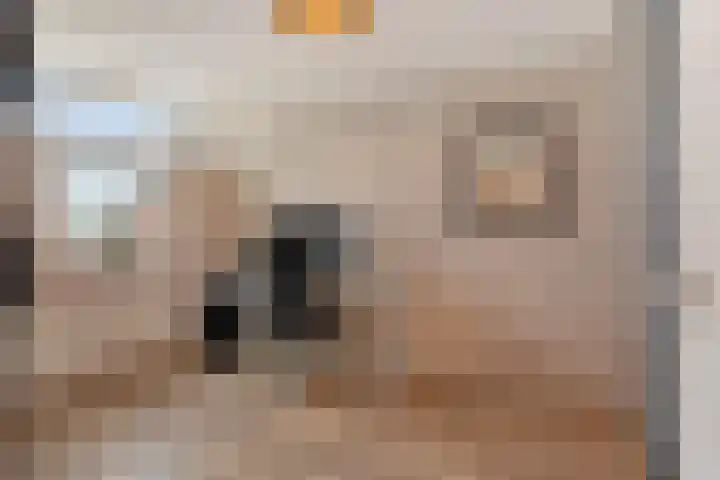 Spireadreef 3 Bleiswijk thumbnail 33