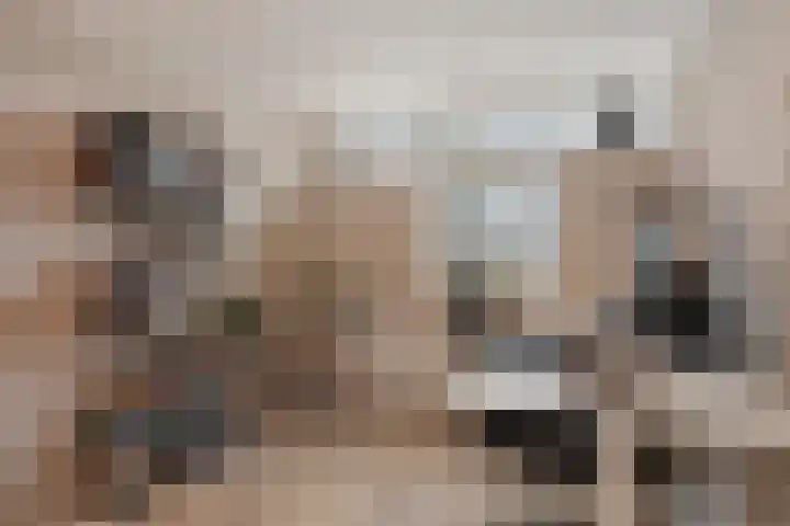 Spireadreef 3 Bleiswijk thumbnail 34