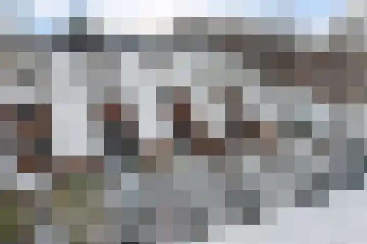 Spireadreef 3 Bleiswijk thumbnail 4