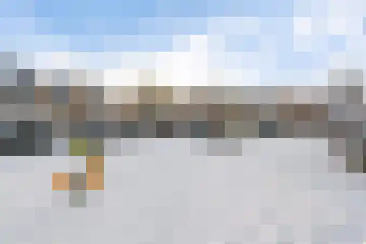 Spireadreef 3 Bleiswijk thumbnail 46