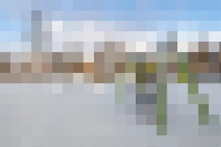 Spireadreef 3 Bleiswijk thumbnail 47