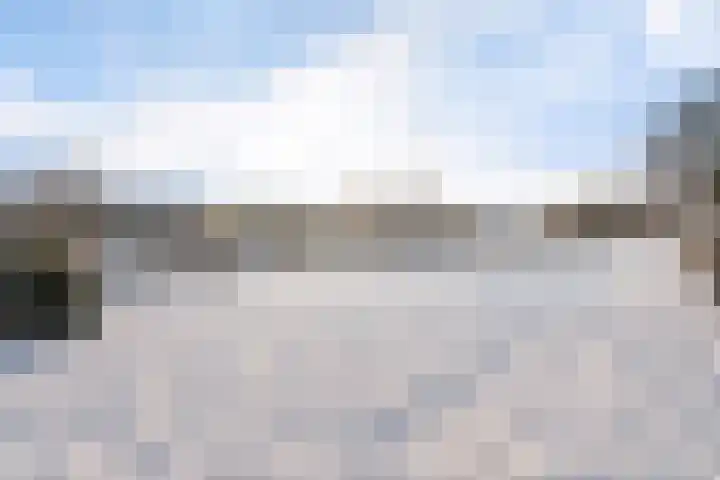 Spireadreef 3 Bleiswijk thumbnail 48