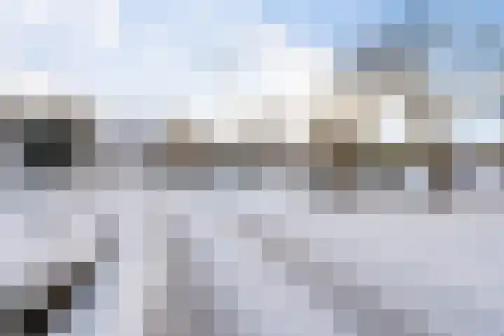 Spireadreef 3 Bleiswijk thumbnail 49