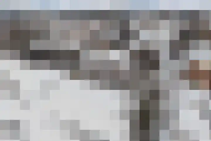 Spireadreef 3 Bleiswijk thumbnail 5