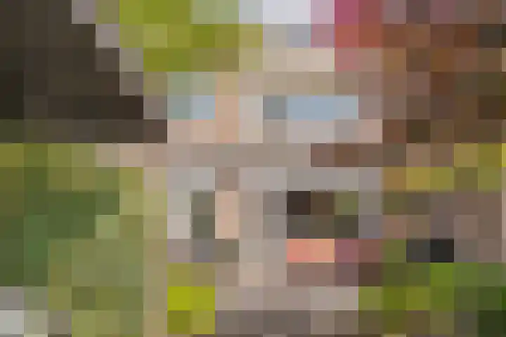 Spirealaan 15 Rosmalen thumbnail 14