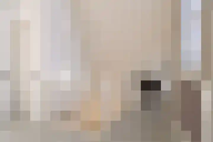 Spirealaan 15 Rosmalen thumbnail 23