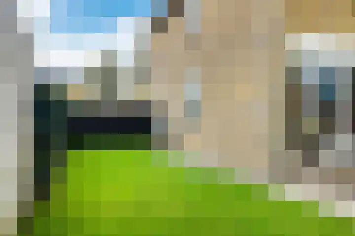 Spirealaan 15 Rosmalen thumbnail 44