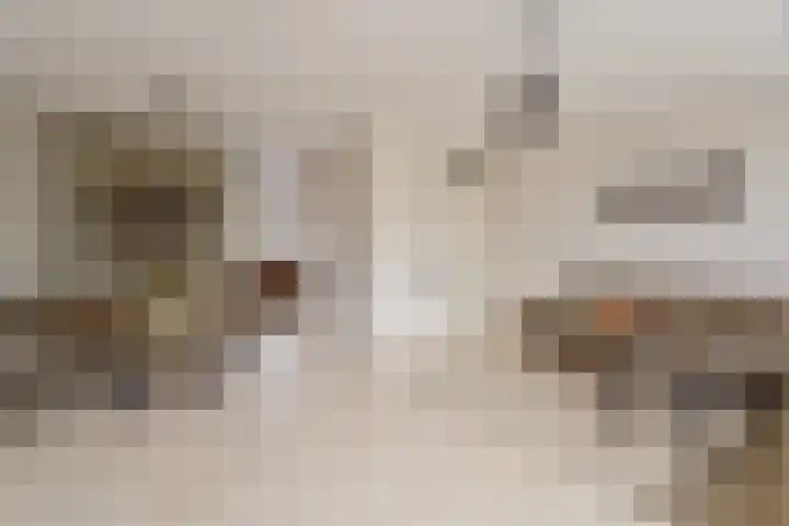 Spirealaan 15 Rosmalen thumbnail 6
