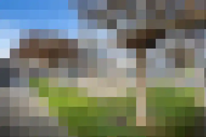Spirealaan 174 Winterswijk thumbnail 40