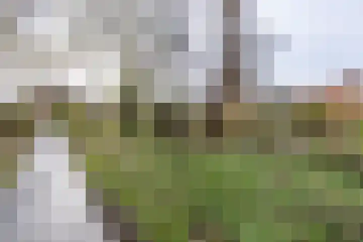 Spirealaan 4 Groningen thumbnail 31
