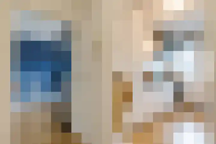 Spirealaan 4 Groningen thumbnail 8