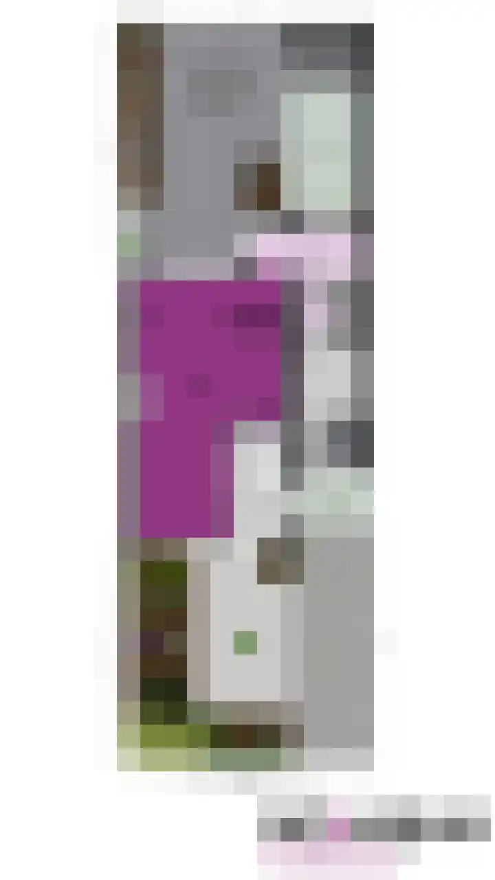 Spirealaan 46 Winterswijk thumbnail 35