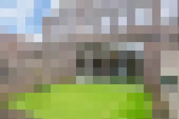 Spirealaan 5 Rosmalen thumbnail 33