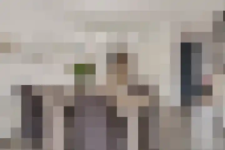 Spirealaan 5 Rosmalen thumbnail 7